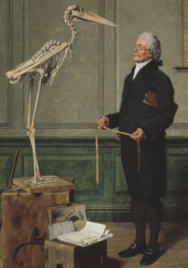 Henry Marks Science Is Measurement 1879 Bird Skeleton Painting Postcard