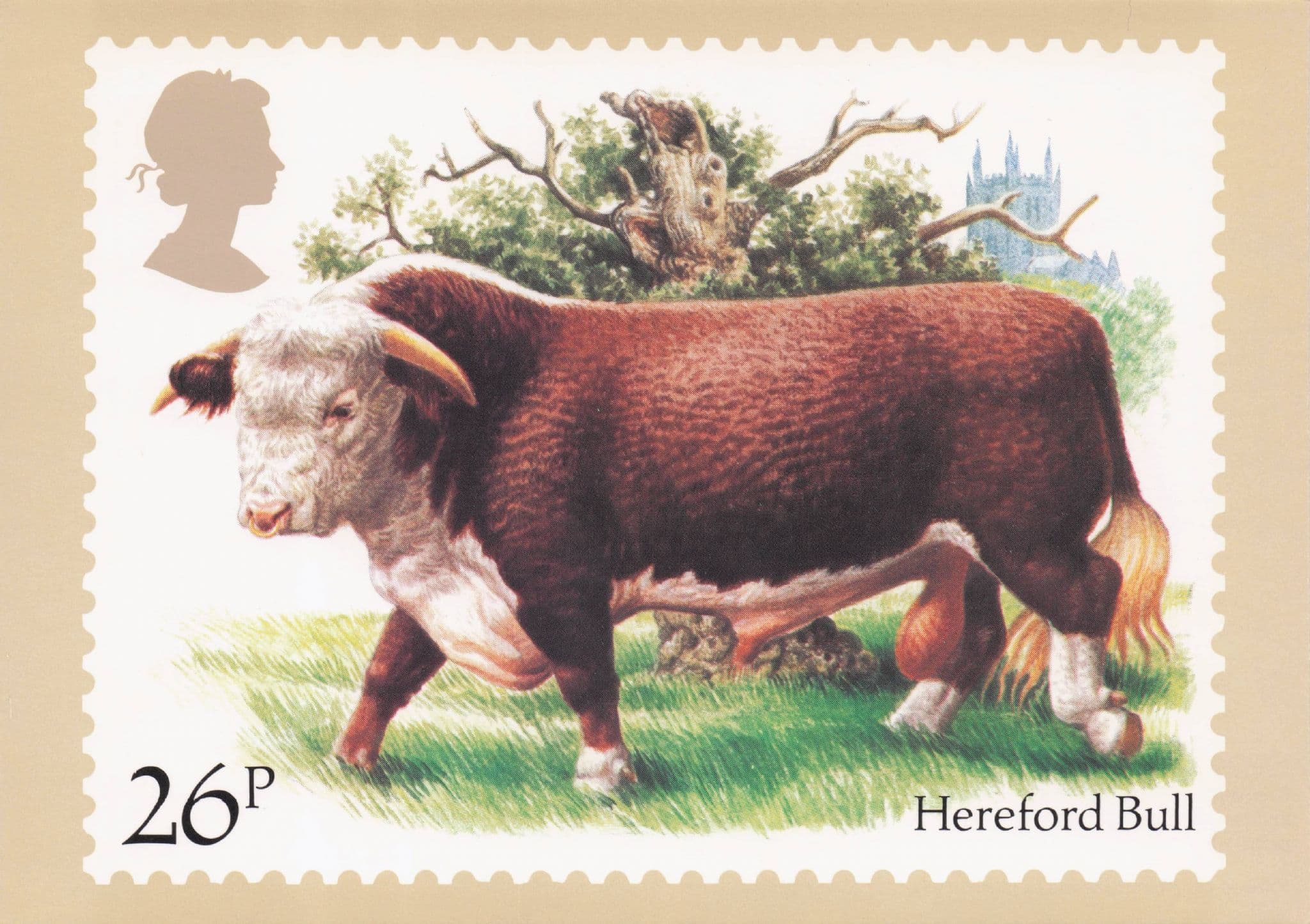 Hereford Bull Cattle Cow Farming Painting Royal Mail Postcard