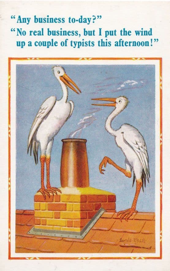 Heron Bird Crane Secretary Birds On Rooftop Risque 1970s Comic Humour Postcard