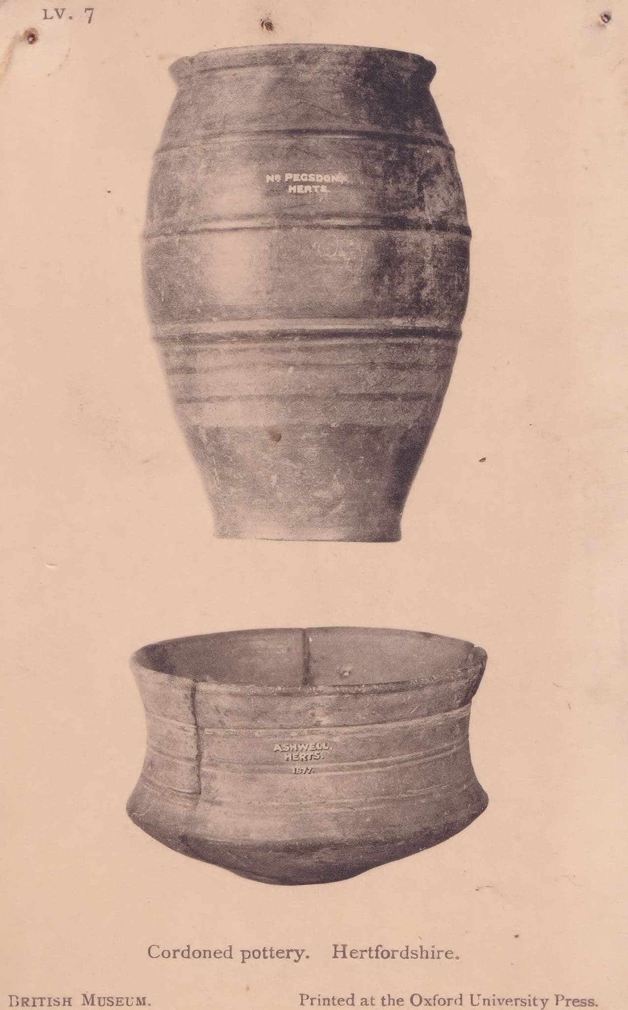 Hertfordshire Cordoned Pottery Antique Rome Roman British Museum Postcard