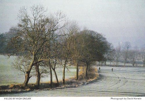 High Ongar Chipping Grays Essex Fields Field Rare Womens Institute Postcard
