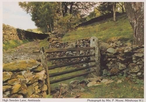 High Sweden Lane Ambleside Cumbria Womens Institute Postcard