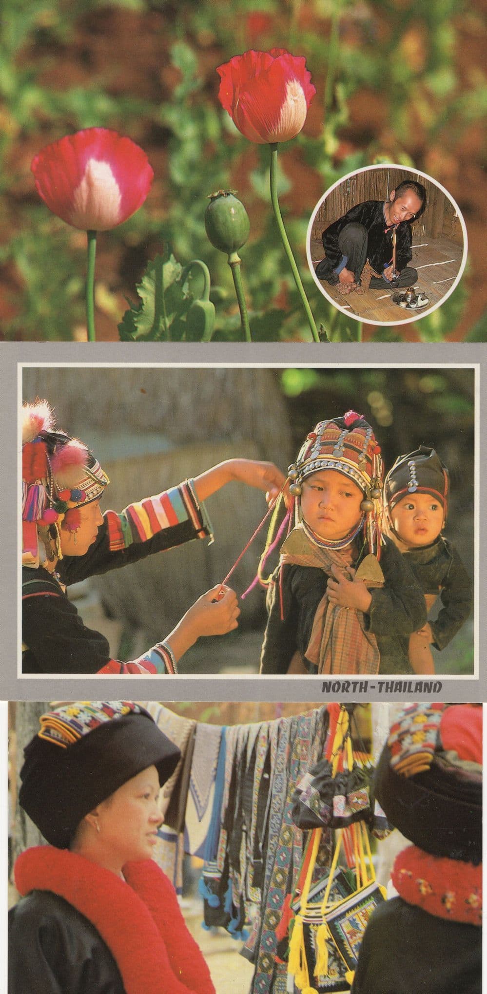 Hill Tribe People Thailand Map Horse Rides Fashion 3x Postcard s