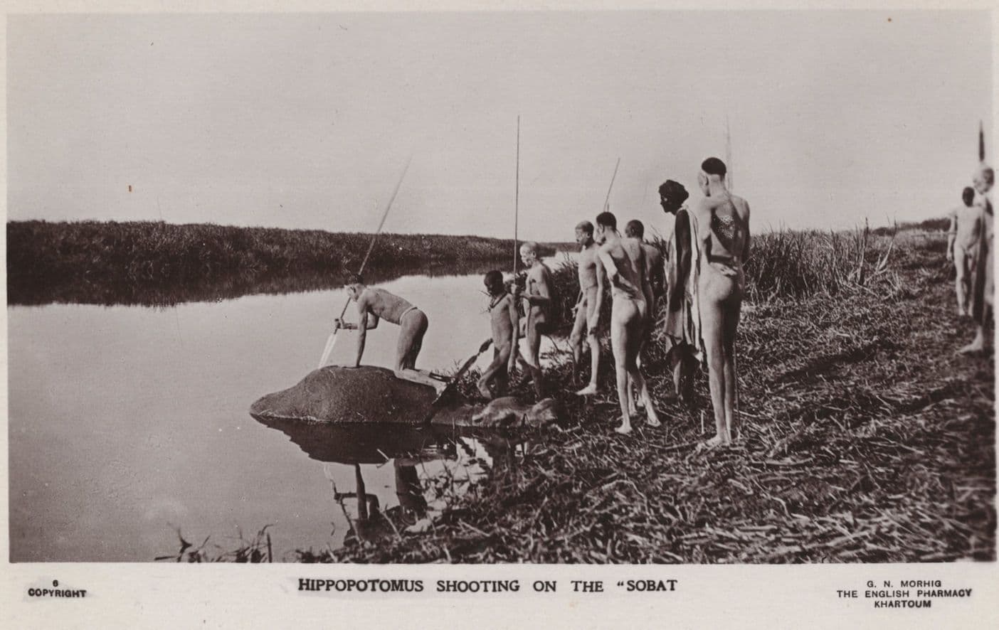 Hippopotamus Shooting On the Sobat Egypt Hunting Old Postcard