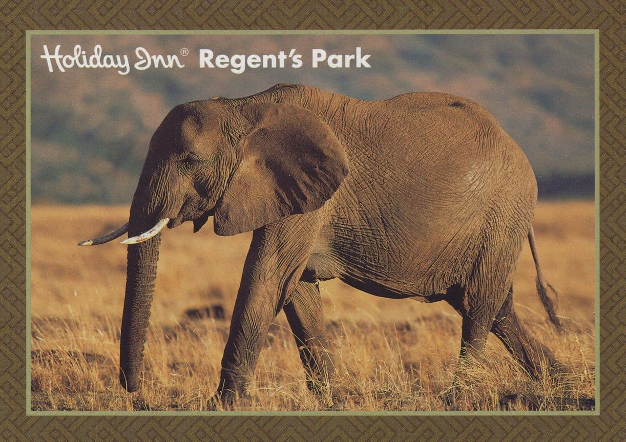 Holiday Inn Hotel Regents Park London Advertising Postcard