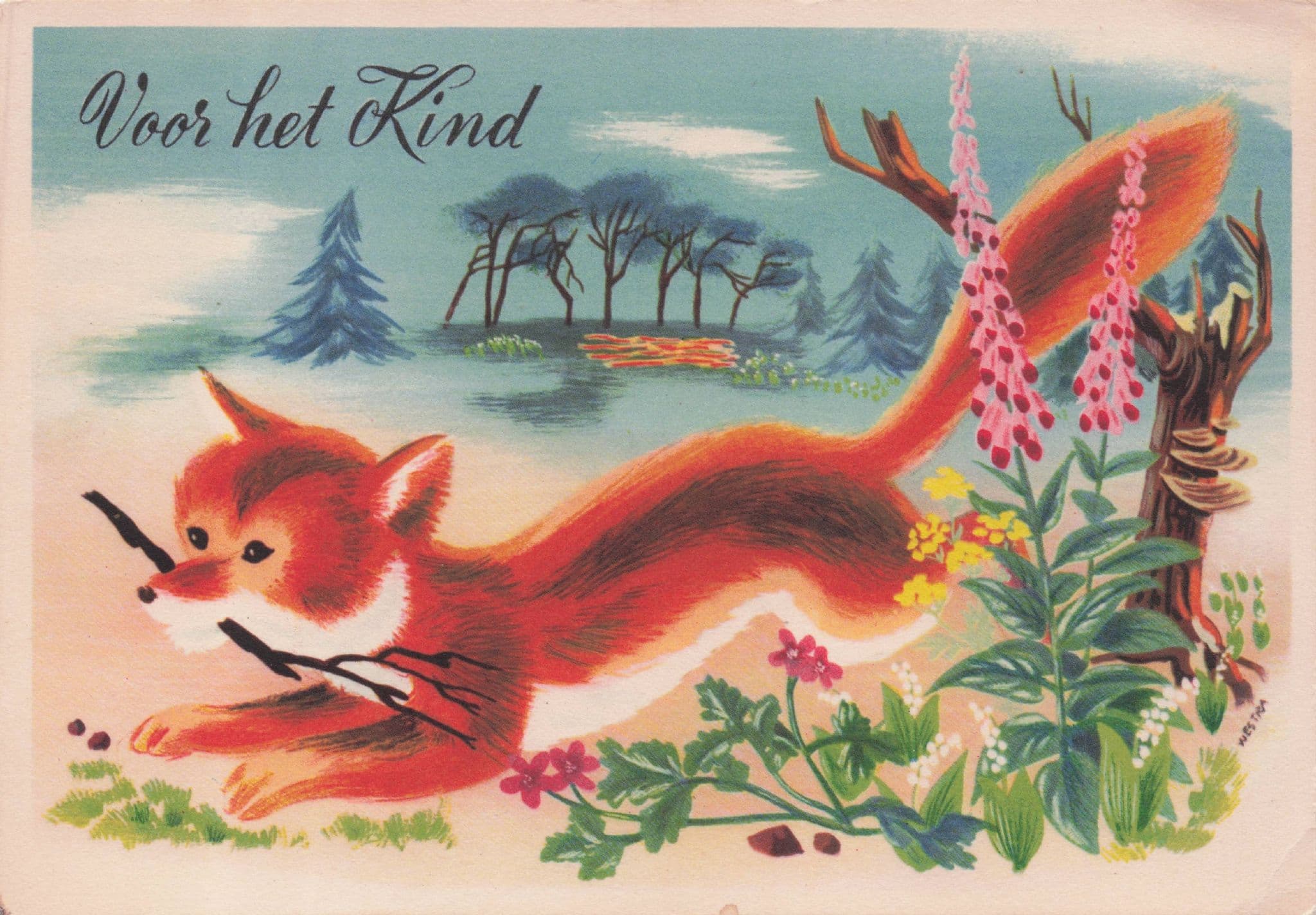 Holland Fox Playing Fetch Like A Dog Vintage Dutch Postcard