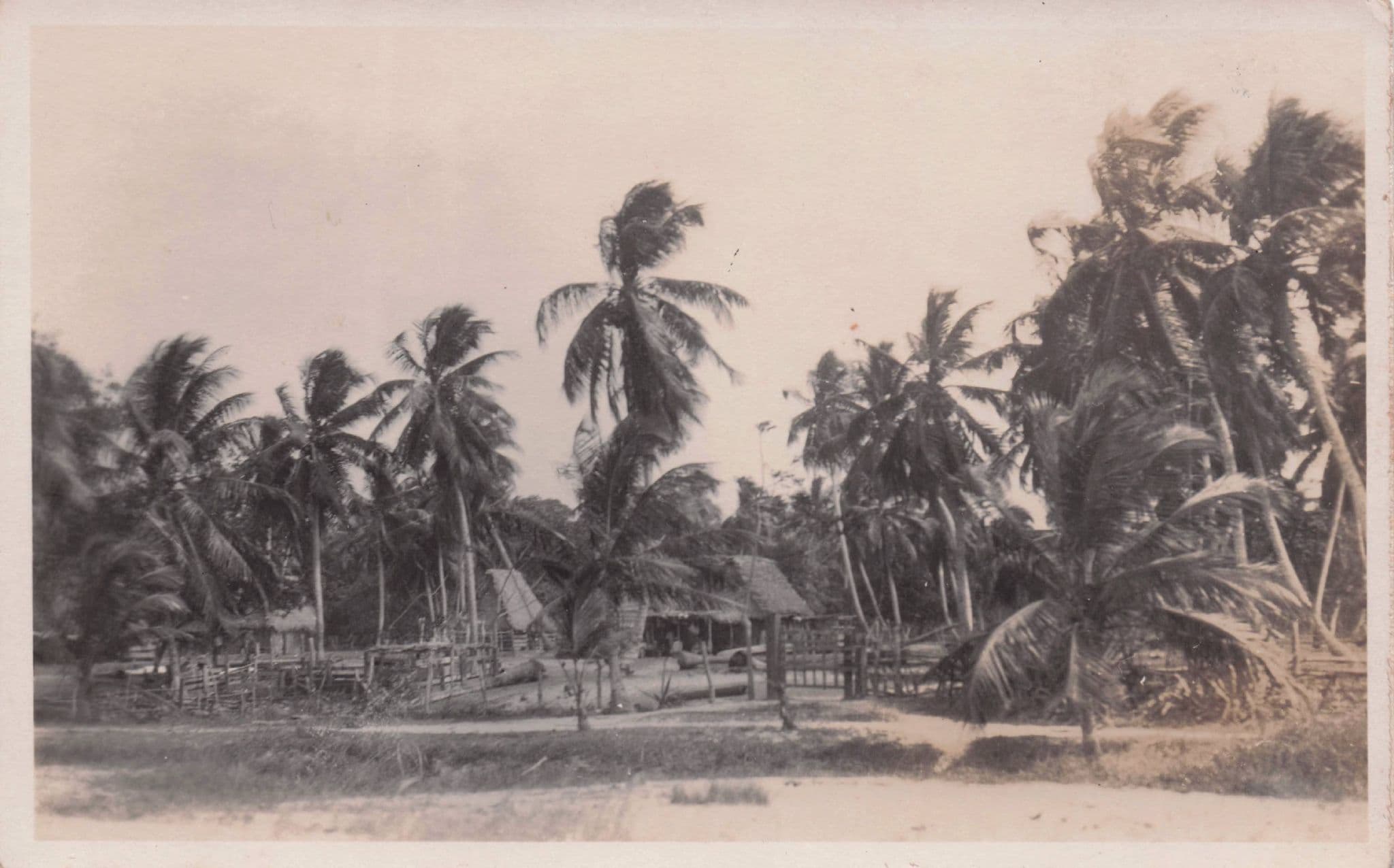 Honduras Mud Hut Homes Squatters Ethnic Old RPC Postcard