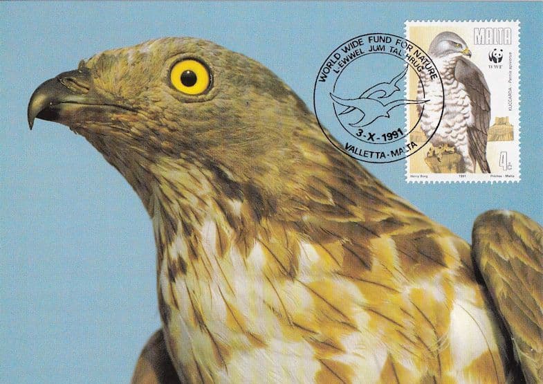 Honey Buzzard Bird WWF Malta Maltese Stamp FDC Postcard
