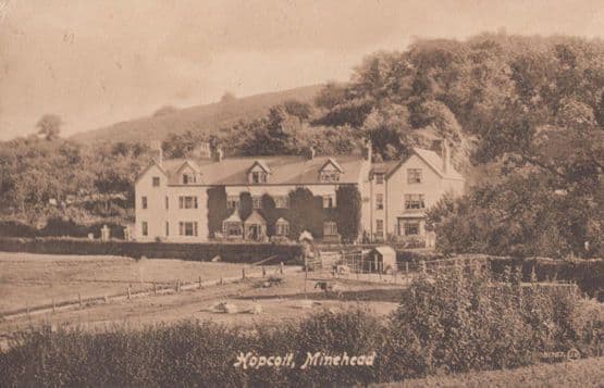 Hopcott Minehead Somerset Farm Garden Cattle Antique WW1 Wartime Postcard