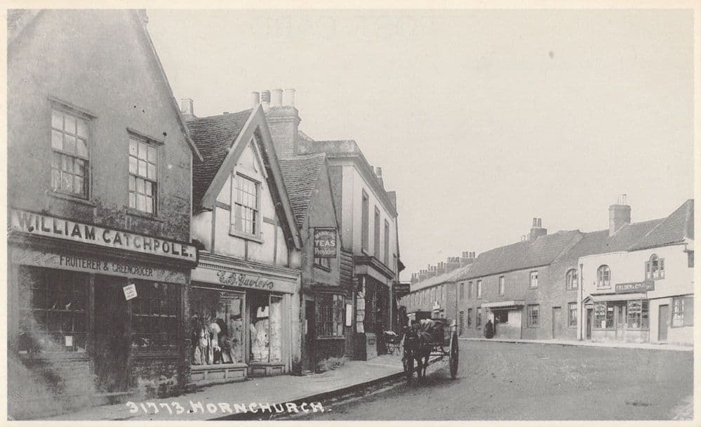Hornchurch Greengrocers in 1905 Essex Postcard