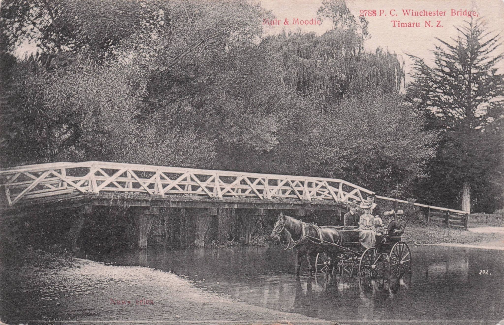 Horse & Cart Guided Trip at Winchester Bridge Timaru New Zealand Postcard