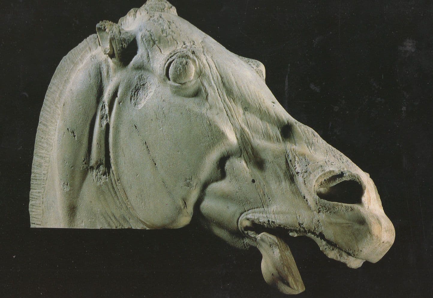 House Of Selene Old Marble 438BC Horse British Museum Postcard