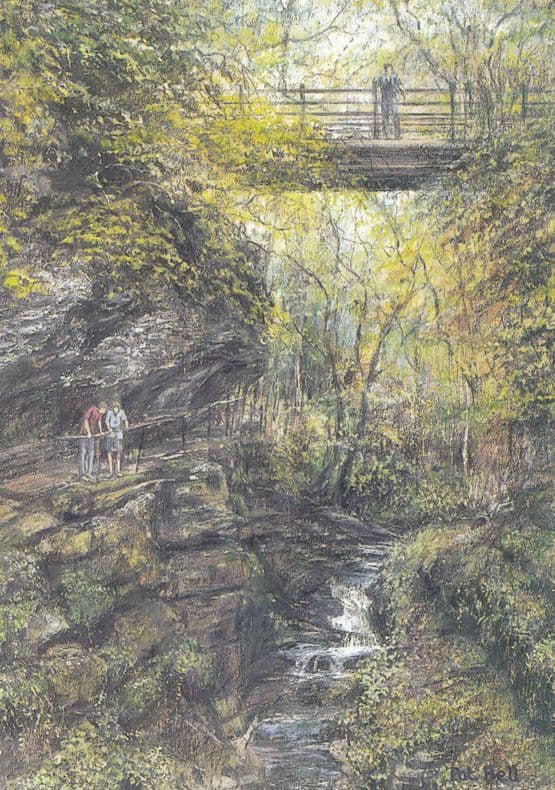 How Stean Gorge Upper Niddersdale Yorkshire Giant Painting Postcard