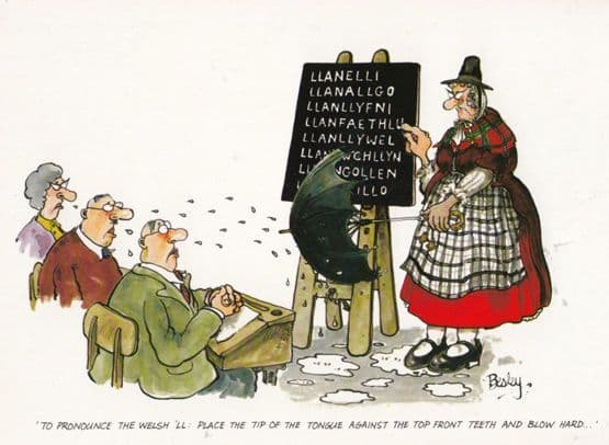 How To Speak Pronounce Welsh Blackboard Teacher Comic Humour Postcard