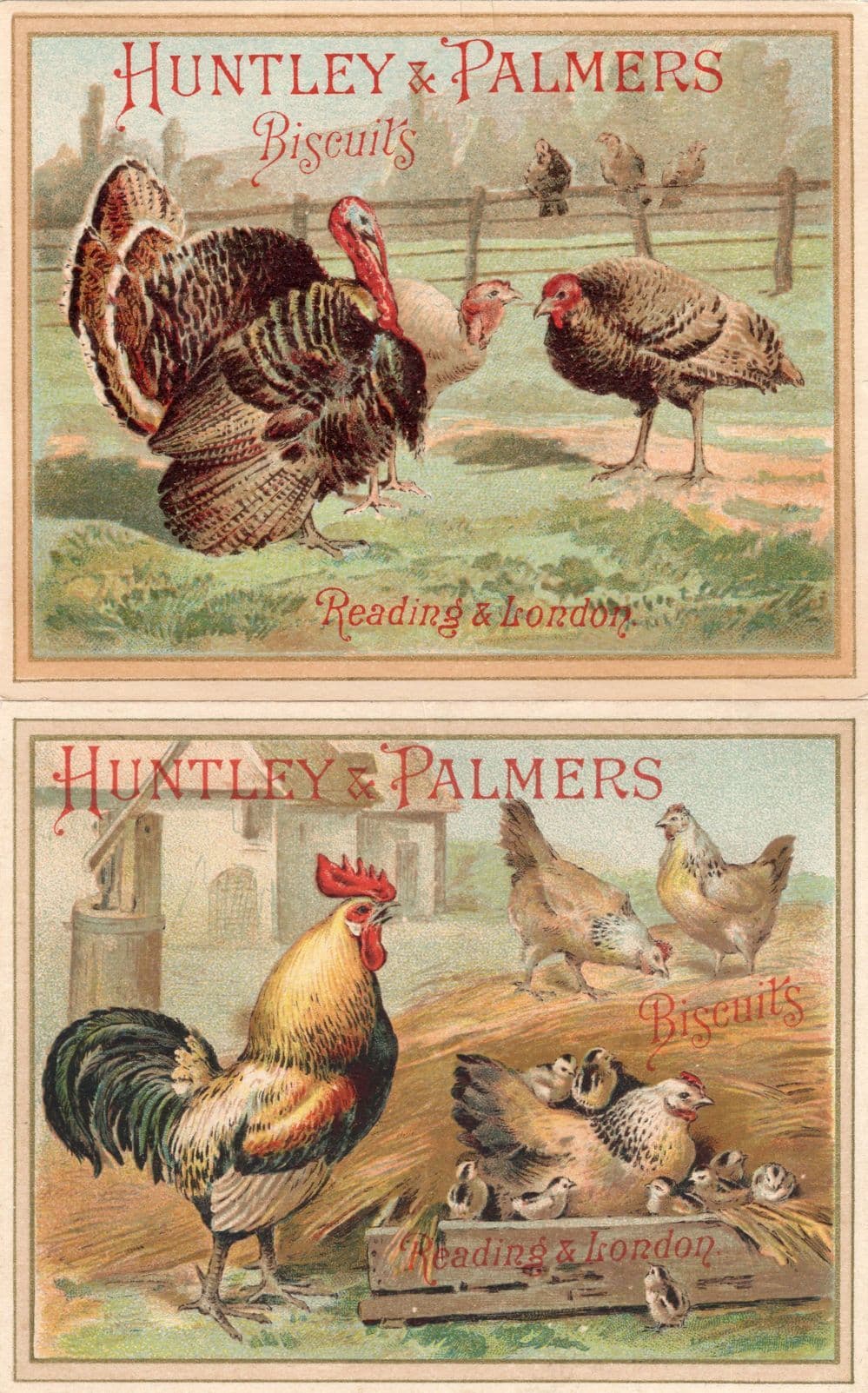 Huntley & Palmers Reading Hen Farming 2x Old Trade Cards