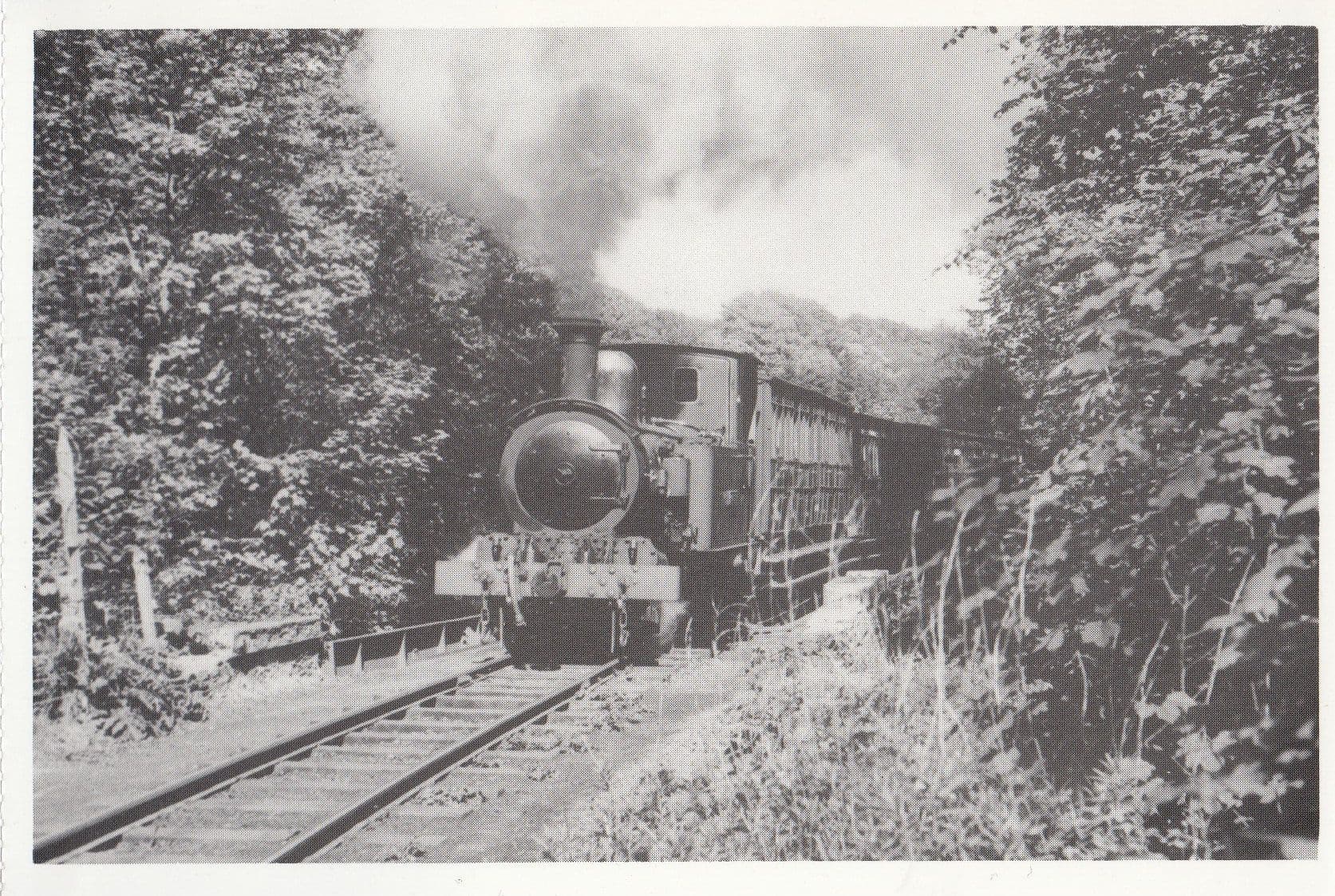 Hutchinson Train at Nunnery Bridge Isle Of Man Rebuilt Railway Postcard