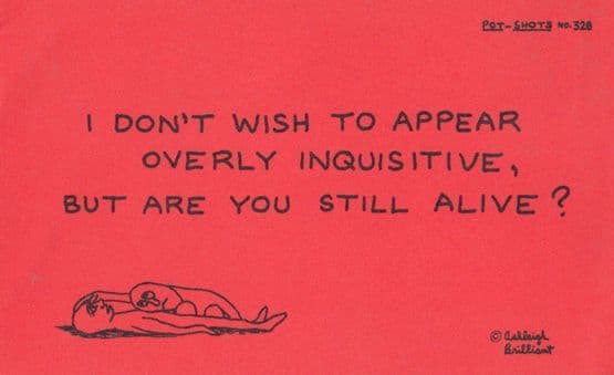 I Dont Wish To Appear Inquisitive But Are You Still Alive Motto Proverb Postcard