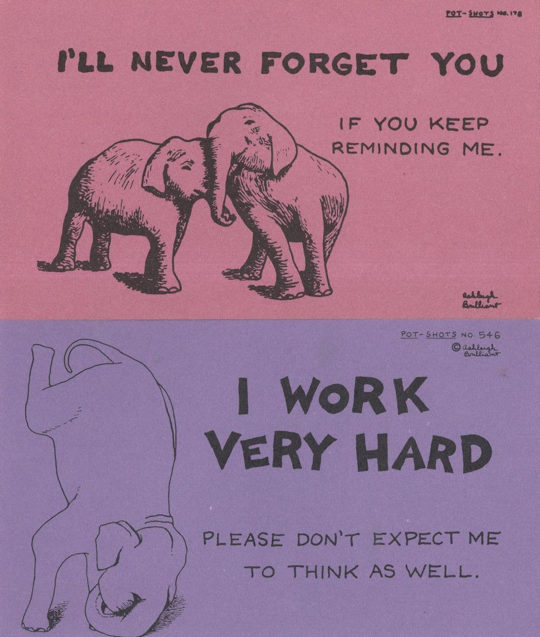 I'll Never Forget You I Work Very Hard 2x Elephant Proverb Postcard s