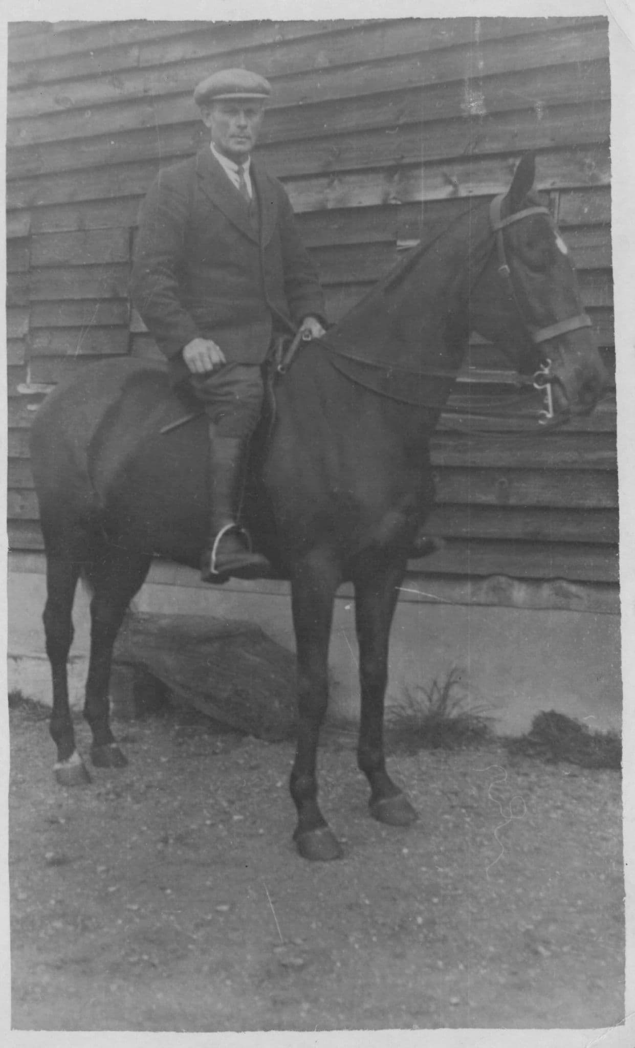 Identified Lord Private Polo Pony Horse Collection Old Real Photo Postcard