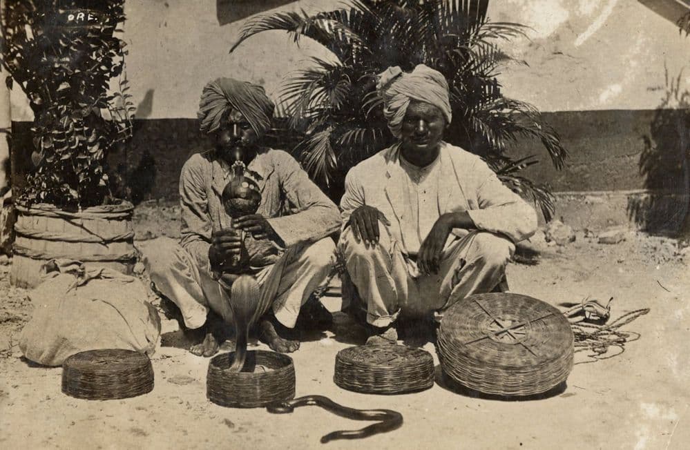 Indian Cobra Snake Charmer Black Viper Old Real Photo Postcard
