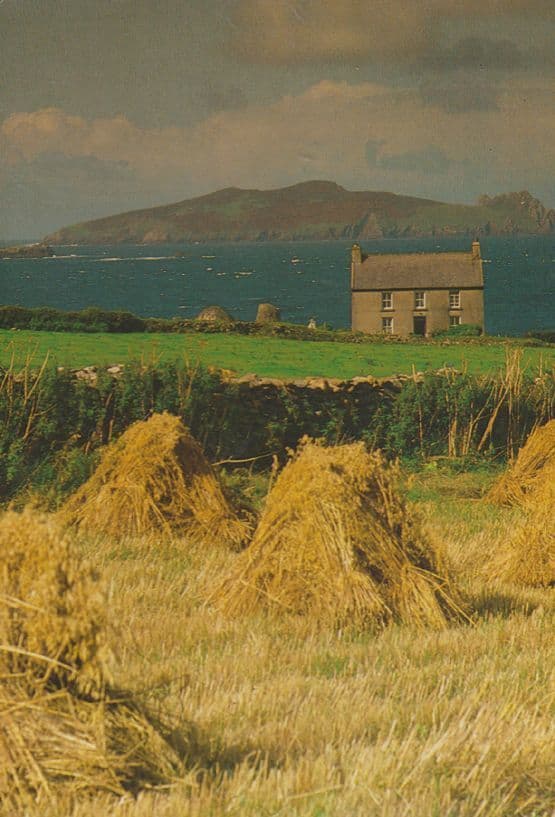 Inishtooskrt County Kerry Postcard