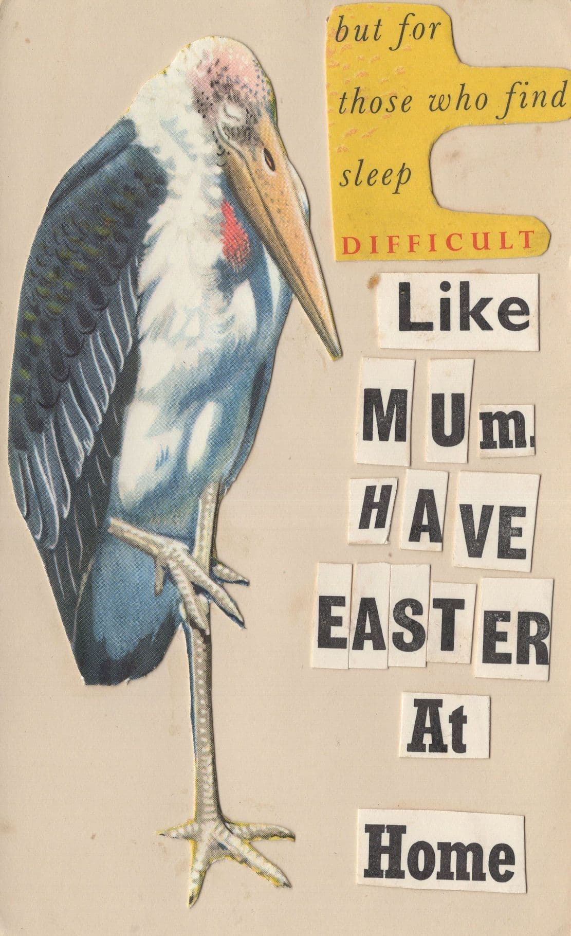 Insomnia Bird Home Made Wanted Poster Easter Postcard