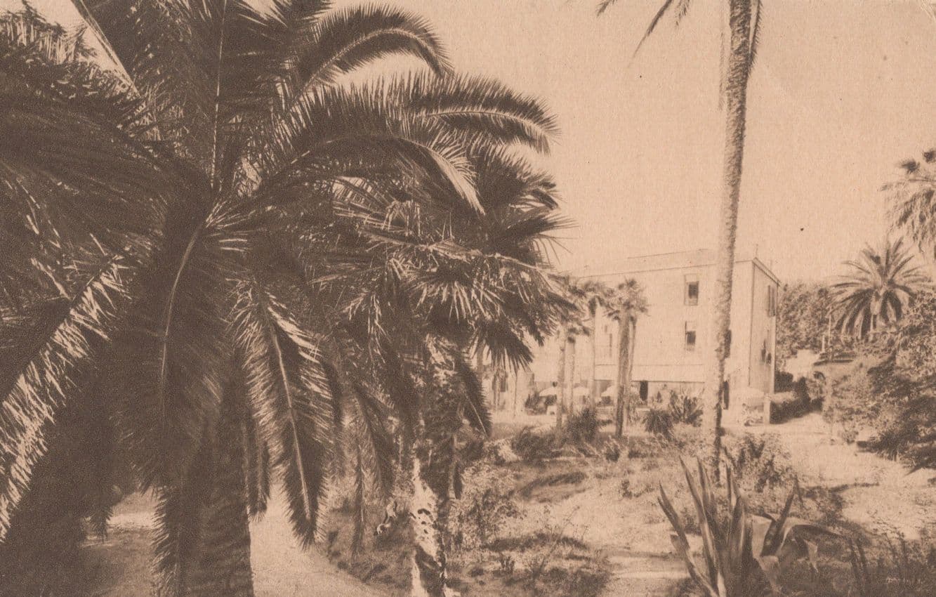 Insulinde Hotel Cannes French Antique EX Postcard
