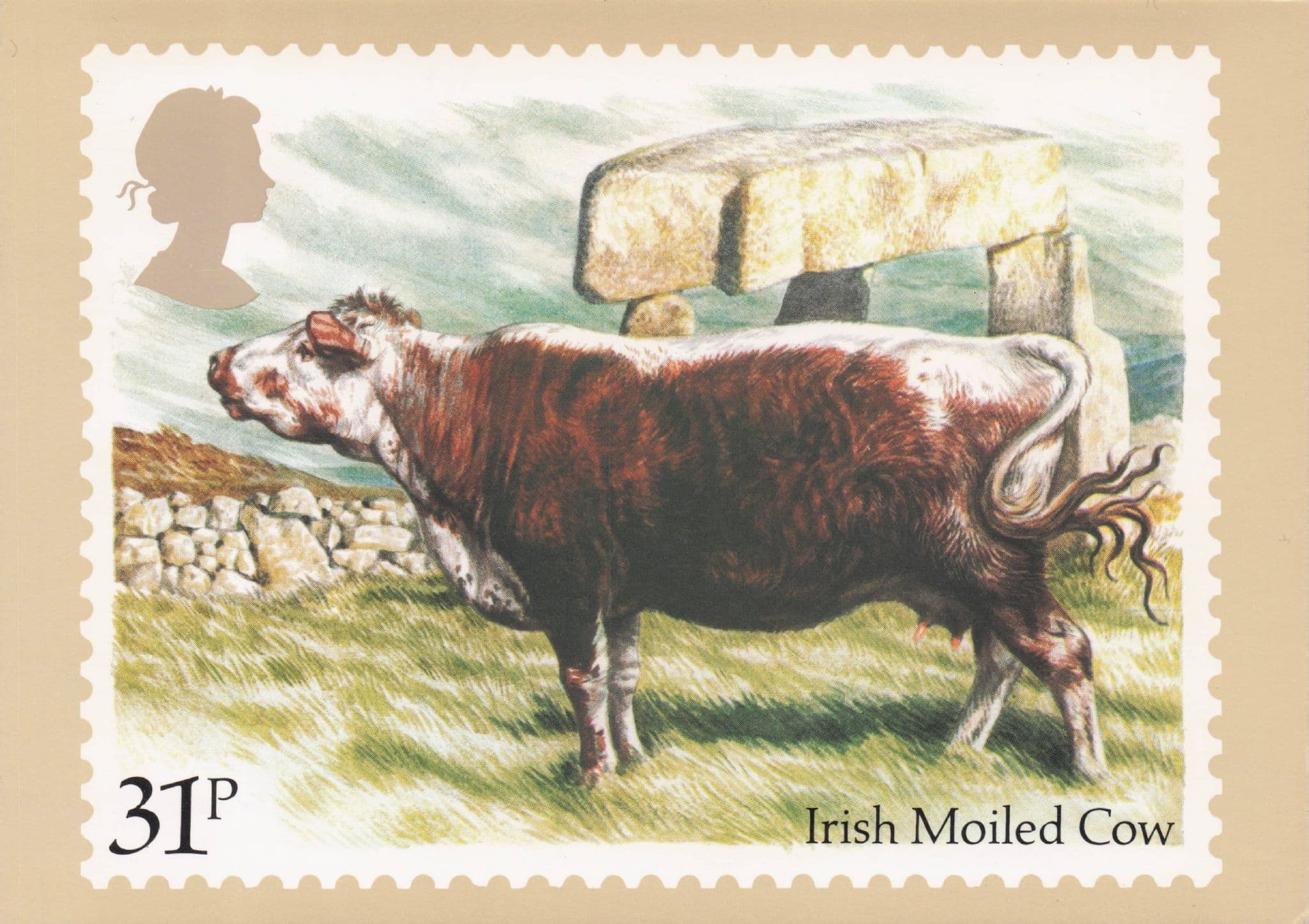 Irish Moiled Cow Cattle Farm Ireland Painting Royal Mail Postcard