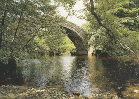 Ivelet Bridge Upper Swaledale Stunning Pedley Postcard