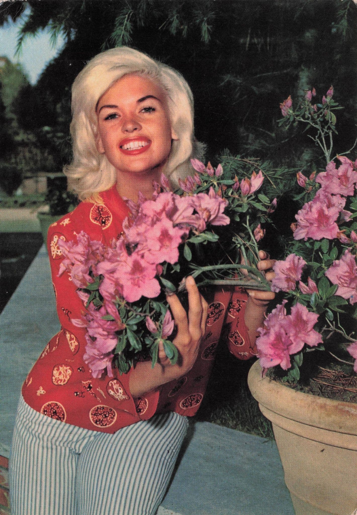 Jane Mansfield Vintage 1960s Rare Spanish Postcard