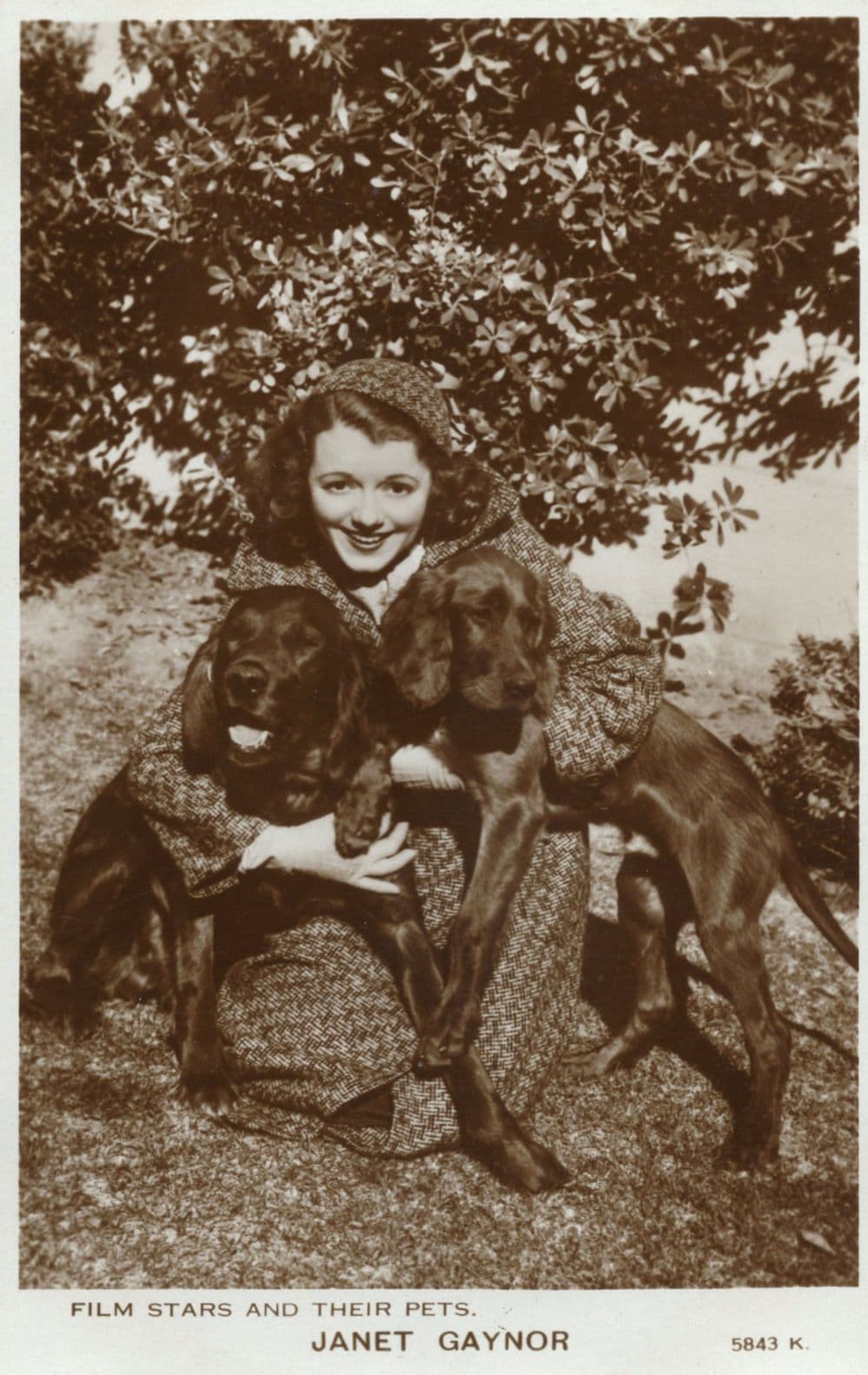 Janet Gaynor Film Stars & Their Pets Rare B&W Valentines Postcard