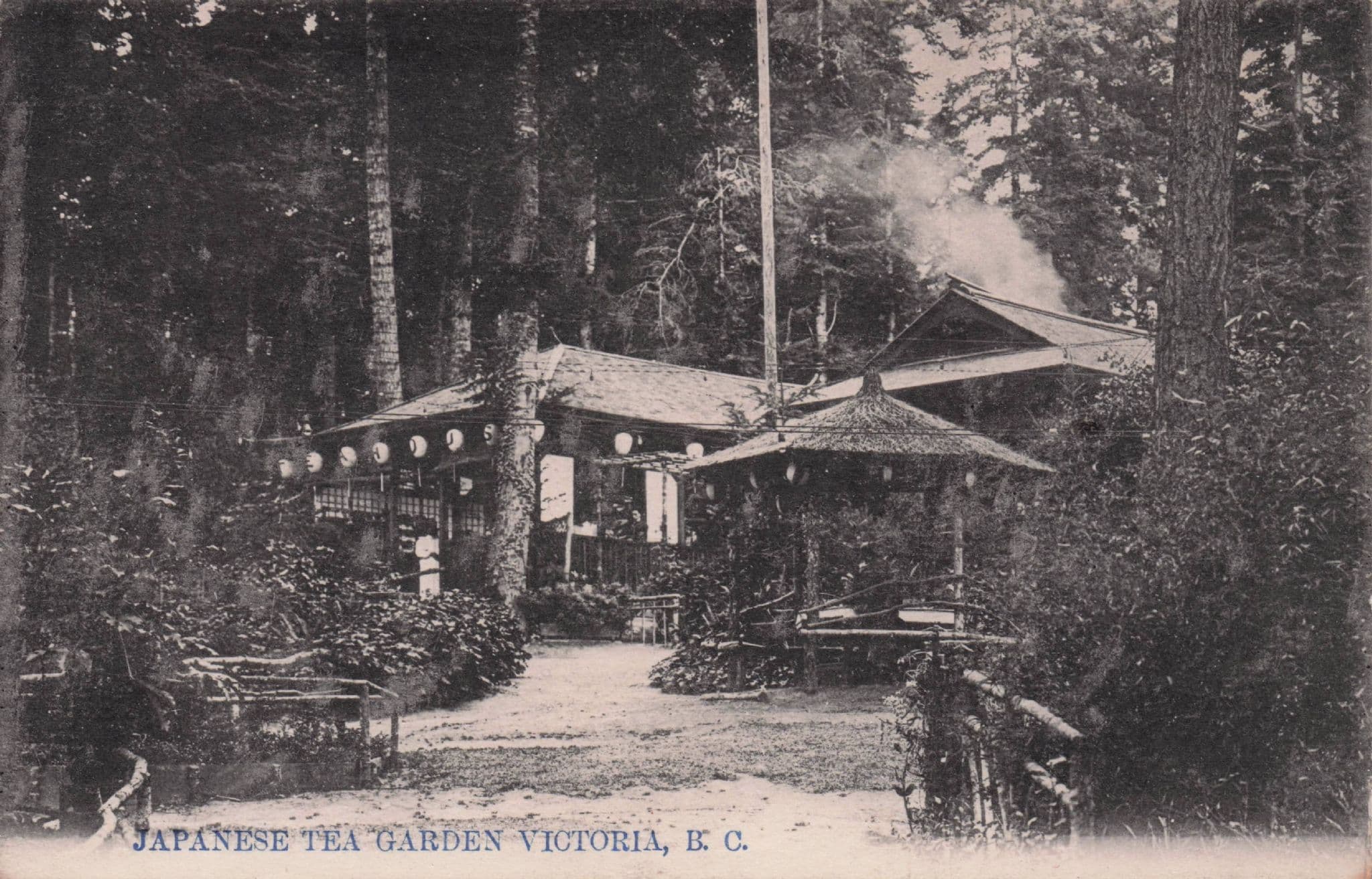 Japanese Tea Garden Victoria BC Canada Antique Postcard