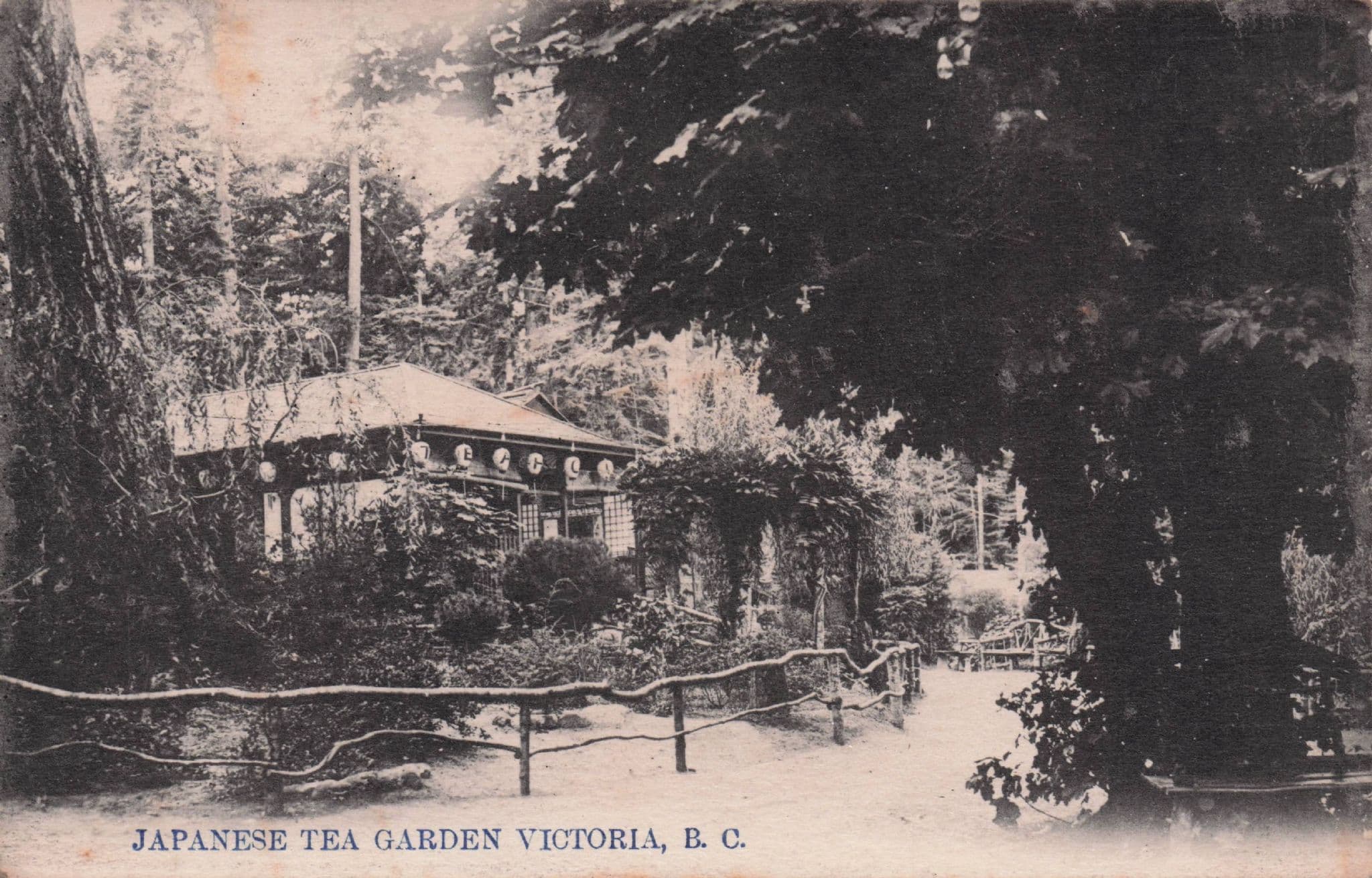Japanese Tea Garden Victoria BC Canada Old Rare Postcard
