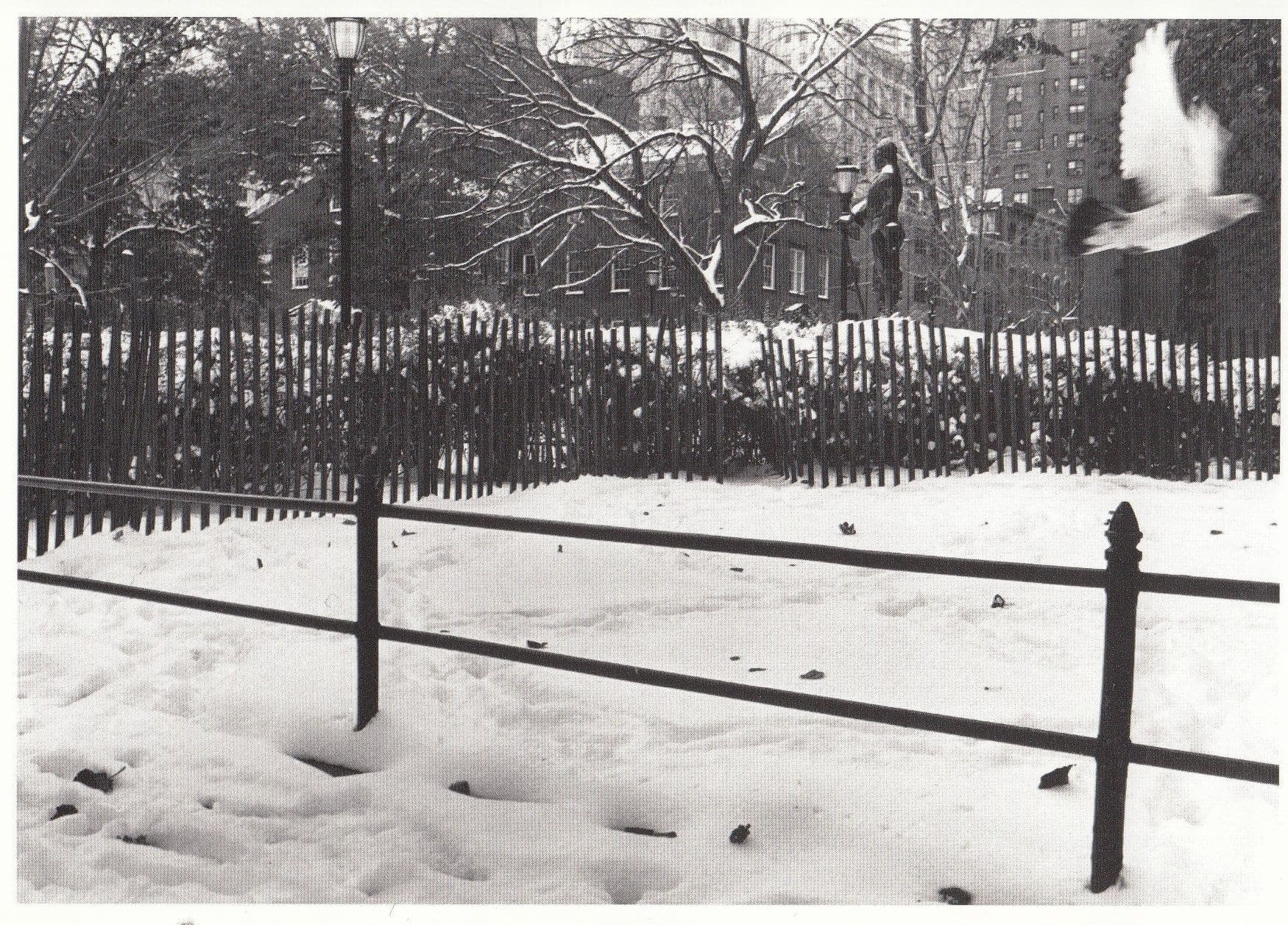 Jean Francois Guerry American Seagull In The Snow Photo Postcard