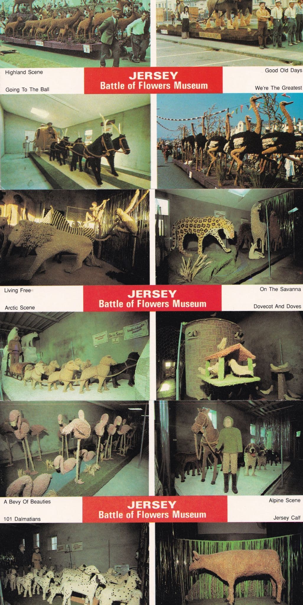 Jersey Battle Of The Flowers Museum 3x Postcard s