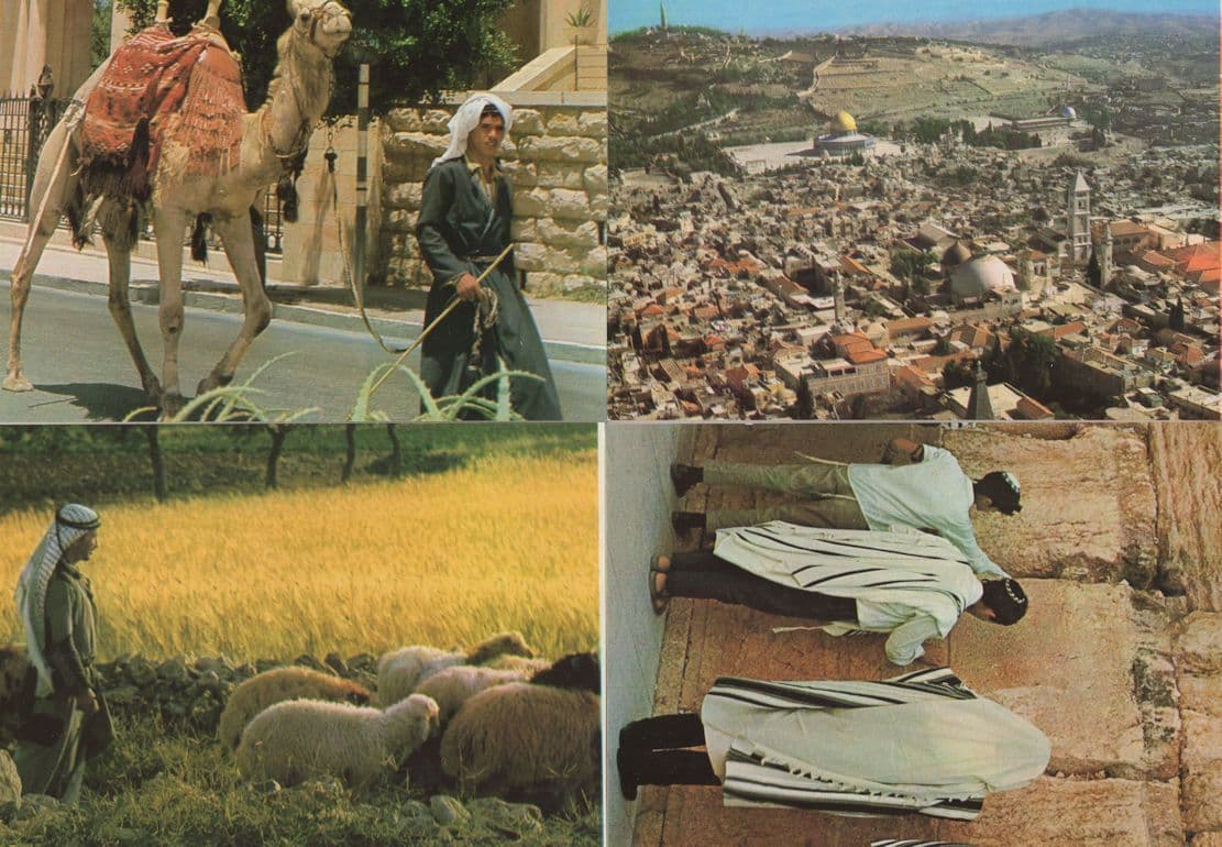 Jerusalem Shepherds Aerial Camel 4x Postcard s