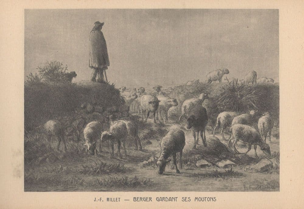 JF Millet Berger Gardant Ses Moutons French Sheep Painting Postcard