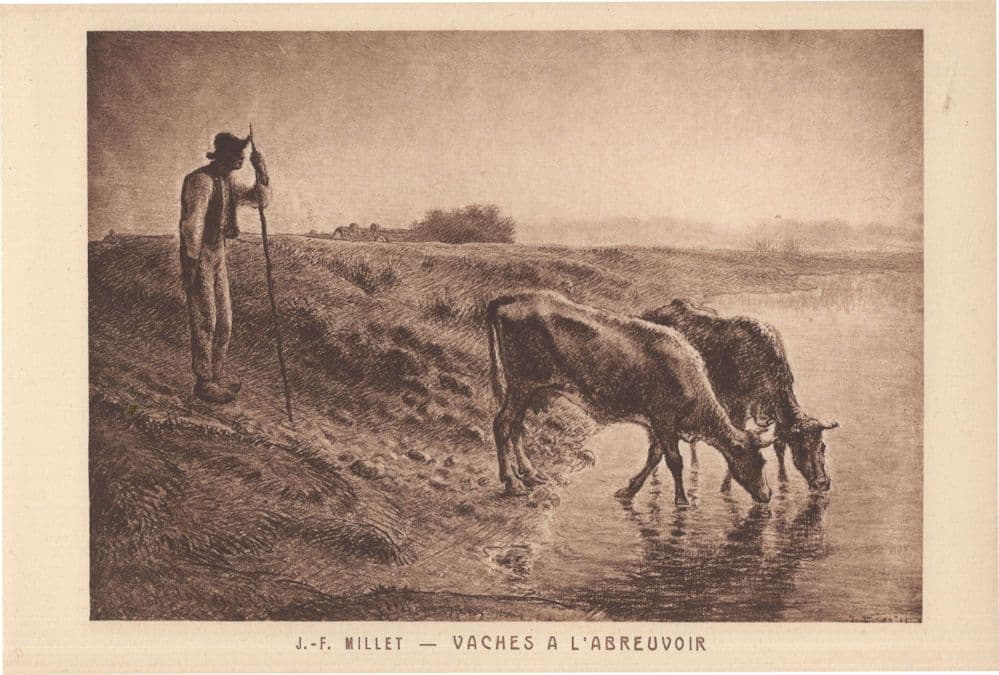 JF Millet Vache A L'Abreuvoir French Farm Cow Painting Postcard