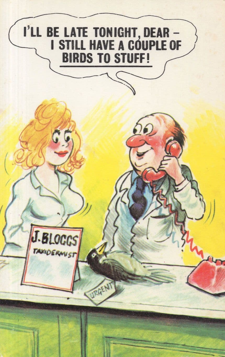 Joe Bloggs Taxidermist Bamforth 1970s Stuffing Birds Comic Postcard