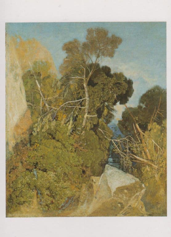 John Sell Cotman Silver Birches Norwich Castle Museum Painting Postcard