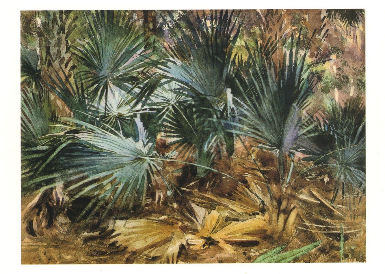 John Singer Sargent Palmettos Tate Gallery Painting Postcard