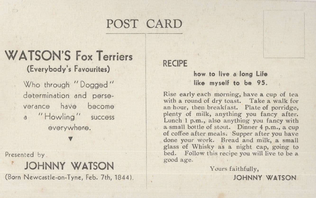 Johnny Watson Fox Terriers Dog Owners Newcastle Advertising Old Postcard