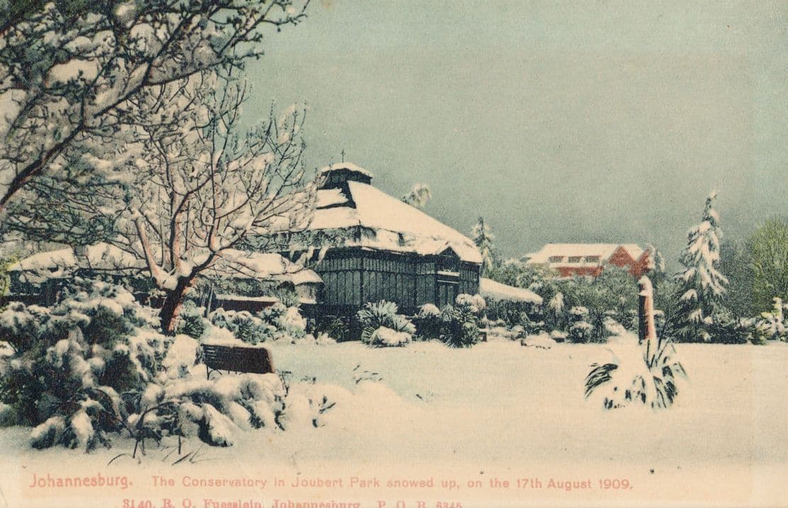 Joubert Park Conservatory Winter Disaster Johannesburg South Africa Postcard