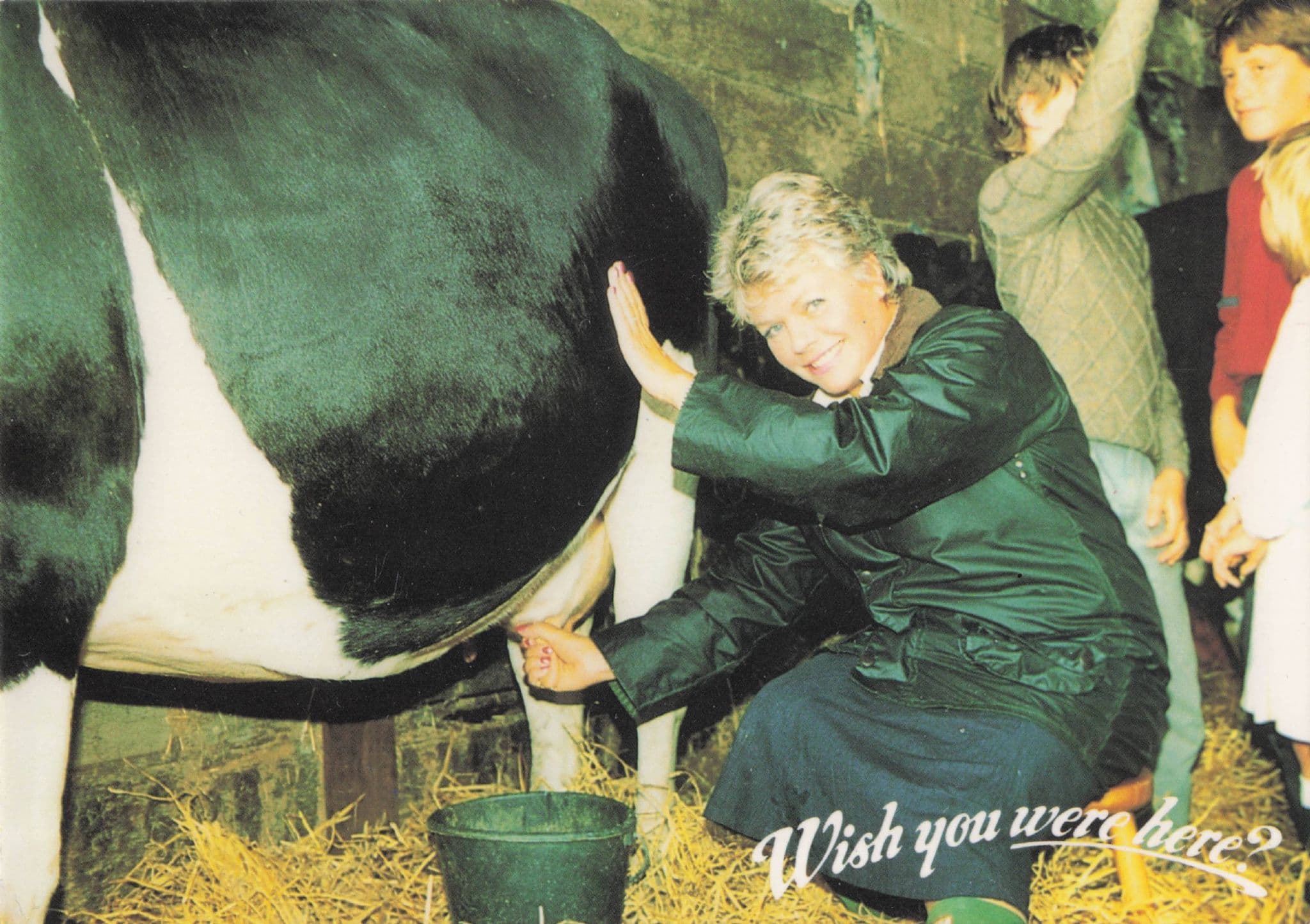 Judith Chalmers Wish You Were Here Farming Milking A Cow Postcard