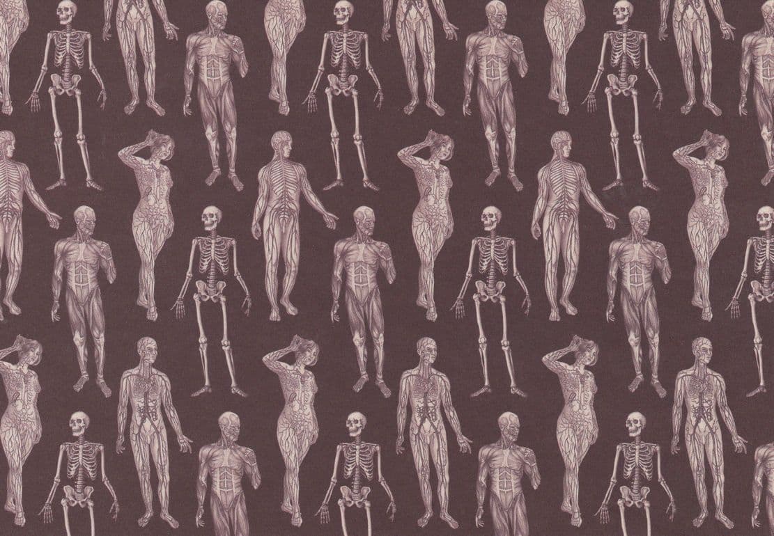 Kaleidoscope Of Skeletons Muscles Fantasy Art Postcard