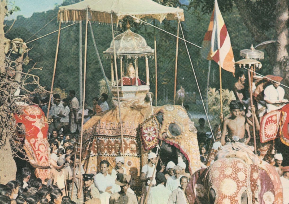 Kandy Perahera Sri Lanka Elephant Procession Rare Colombo Postcard
