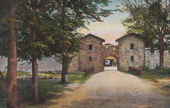 Kastell Saalbvrg Porta Sinistra German Antique Postcard