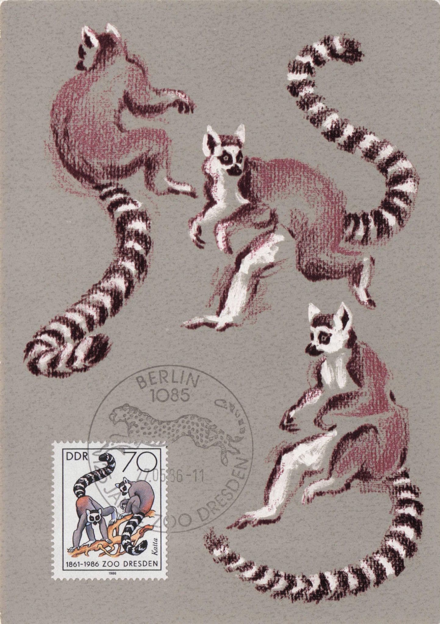 Katta Lemur Catta Madagascar Dresden German FDC Postcard