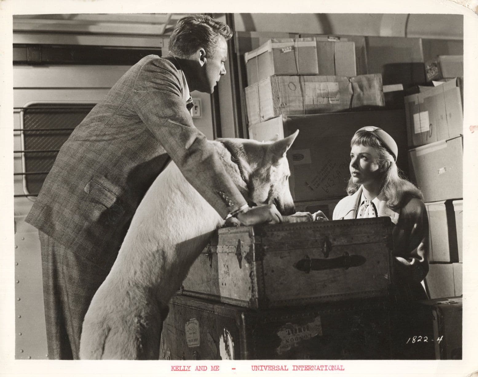 Kelly & Me Film Piper Laurie Van Johnson Performing Dog Movie Large 10x8 Vintage Photo