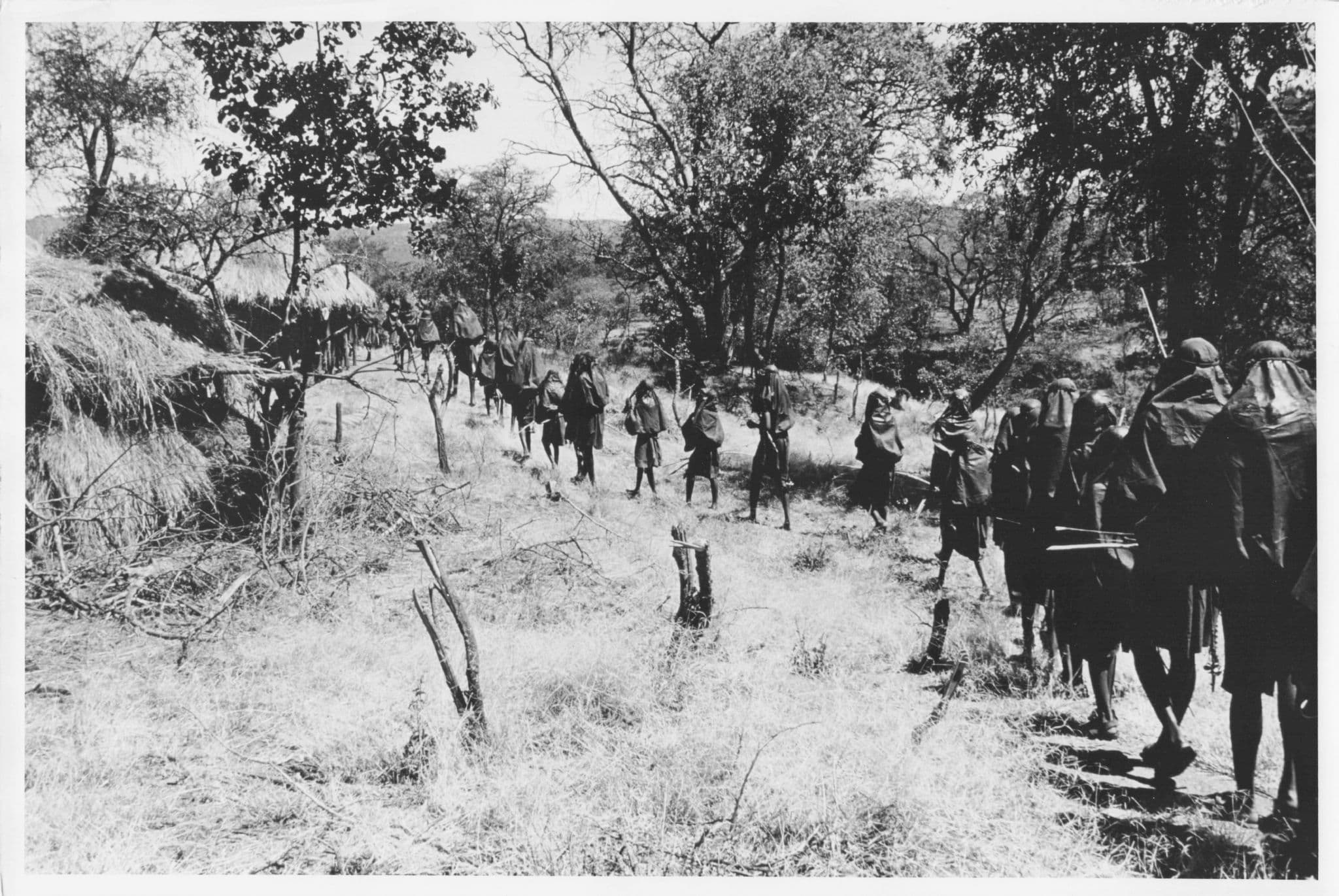 Kenyan Unidentified Tribe Procession Official Large 10x8 Vintage African Photo